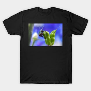 Fly on Pod. T-Shirt